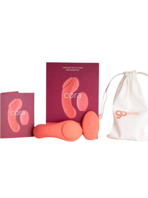 IA452 Vibrador de calcinha 1
